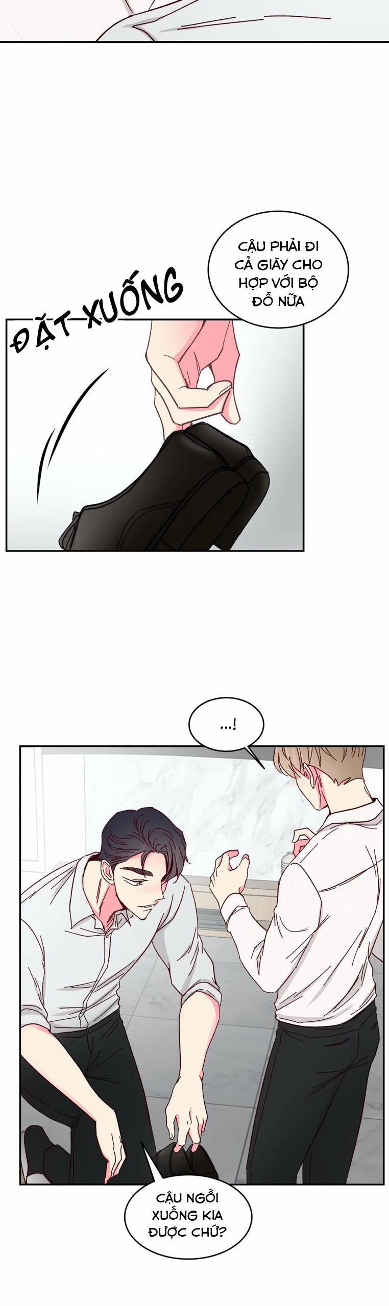 Món Tráng Miệng Của Sếp Tổng 51 trang 7