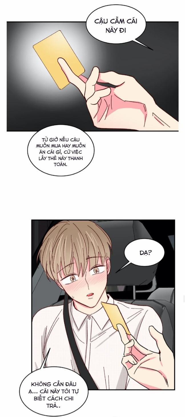 Món Tráng Miệng Của Sếp Tổng 52 trang 28