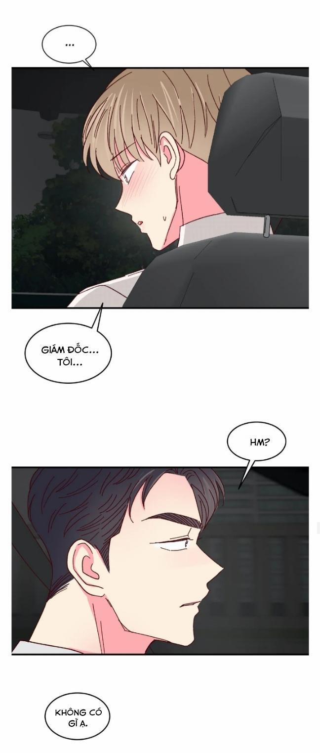 Món Tráng Miệng Của Sếp Tổng 52 trang 30