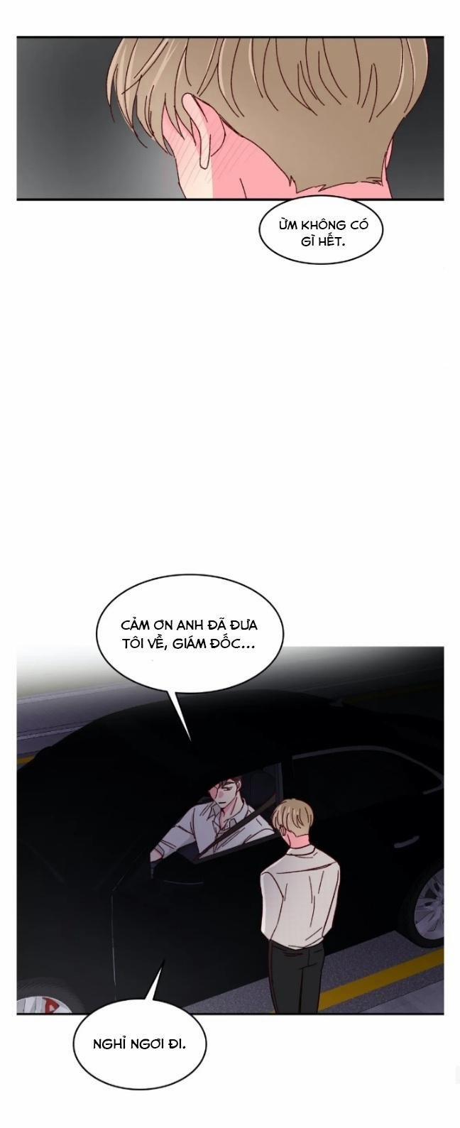 Món Tráng Miệng Của Sếp Tổng 52 trang 31