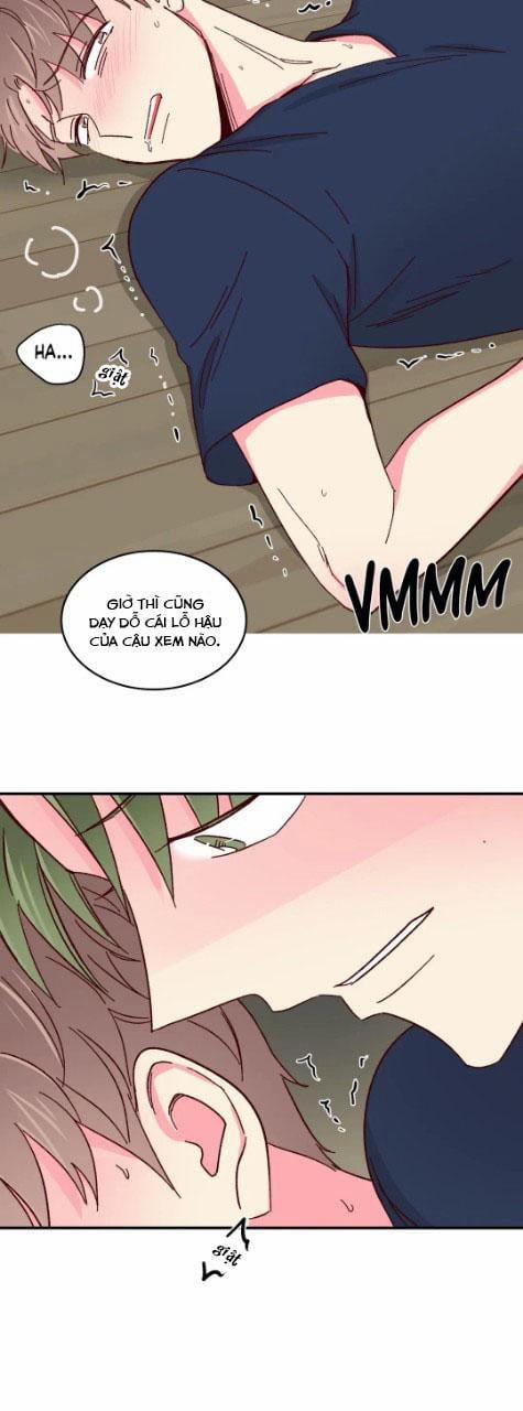 Món Tráng Miệng Của Sếp Tổng 53 trang 12