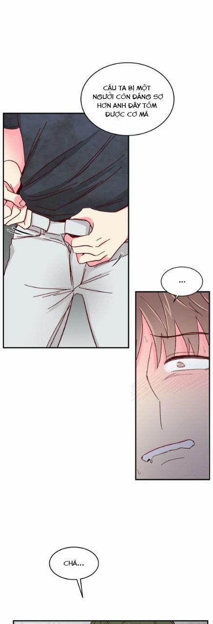 Món Tráng Miệng Của Sếp Tổng 53 trang 20