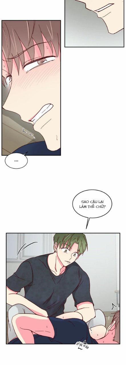Món Tráng Miệng Của Sếp Tổng 53 trang 6