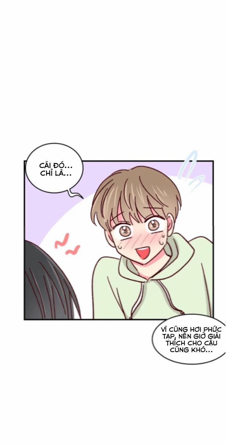 Món Tráng Miệng Của Sếp Tổng 54 trang 11