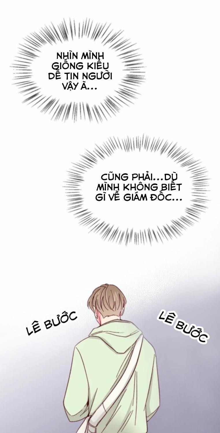 Món Tráng Miệng Của Sếp Tổng 54 trang 19