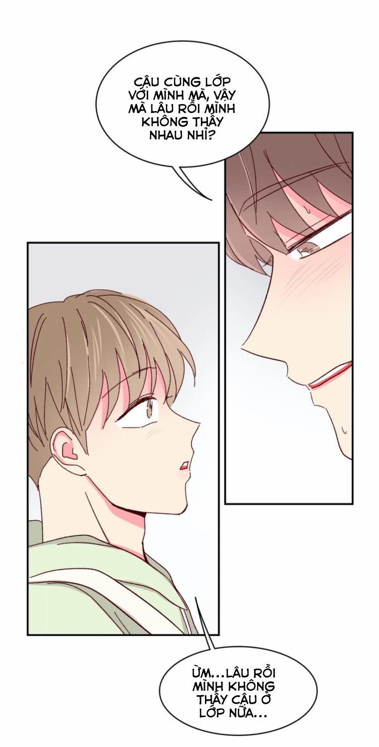 Món Tráng Miệng Của Sếp Tổng 54 trang 29