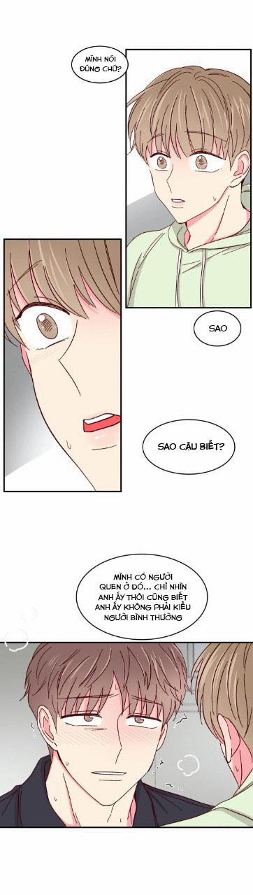 Món Tráng Miệng Của Sếp Tổng 55 trang 14