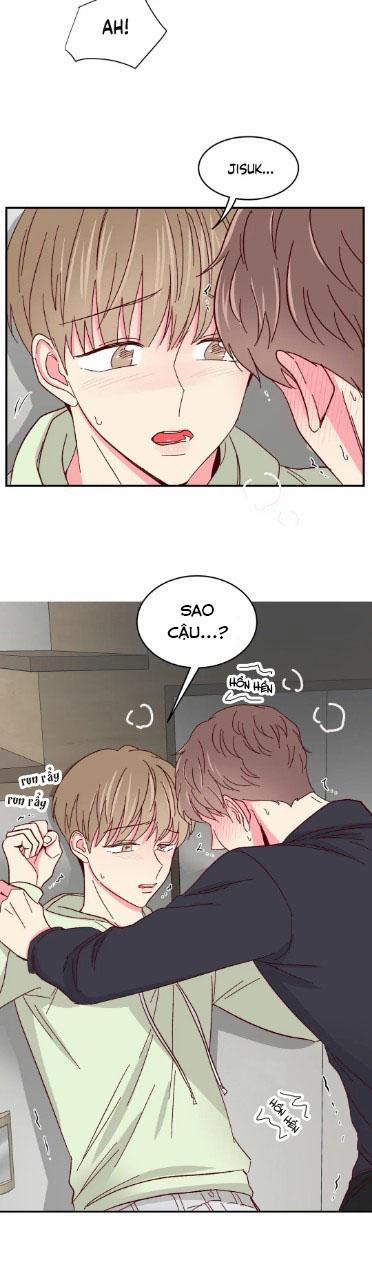 Món Tráng Miệng Của Sếp Tổng 55 trang 19