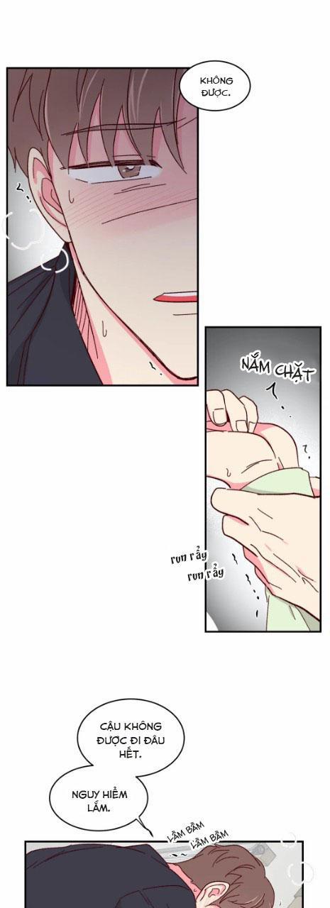 Món Tráng Miệng Của Sếp Tổng 55 trang 20