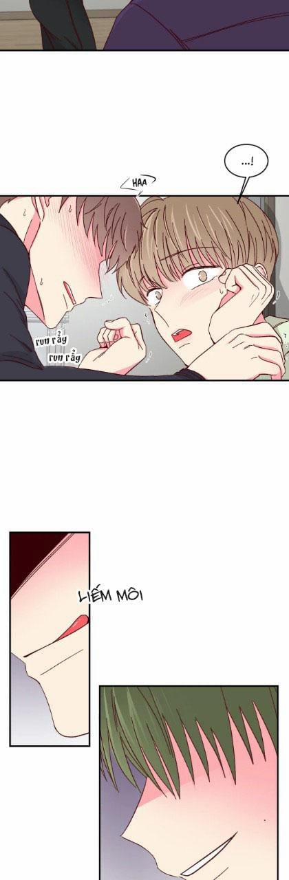 Món Tráng Miệng Của Sếp Tổng 55 trang 23