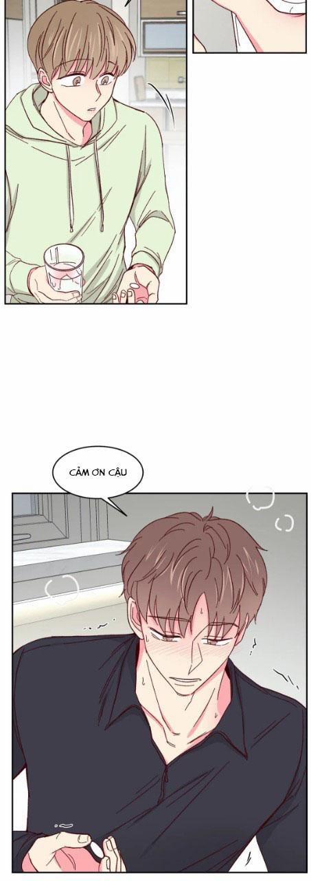 Món Tráng Miệng Của Sếp Tổng 55 trang 5