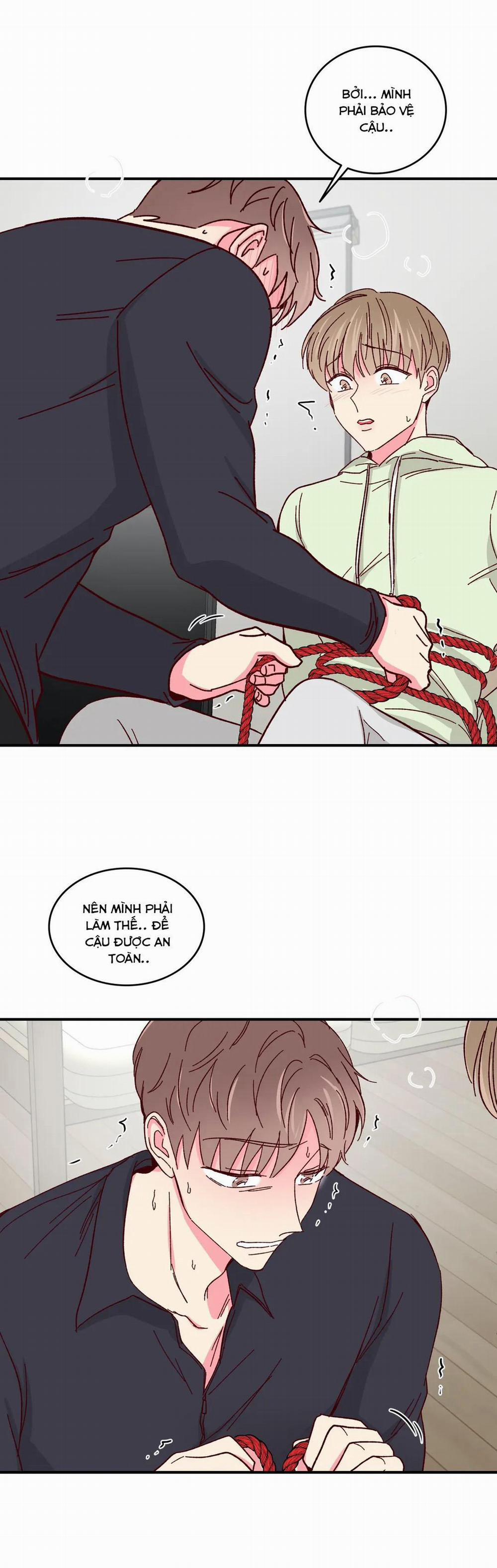 Món Tráng Miệng Của Sếp Tổng 56 trang 13