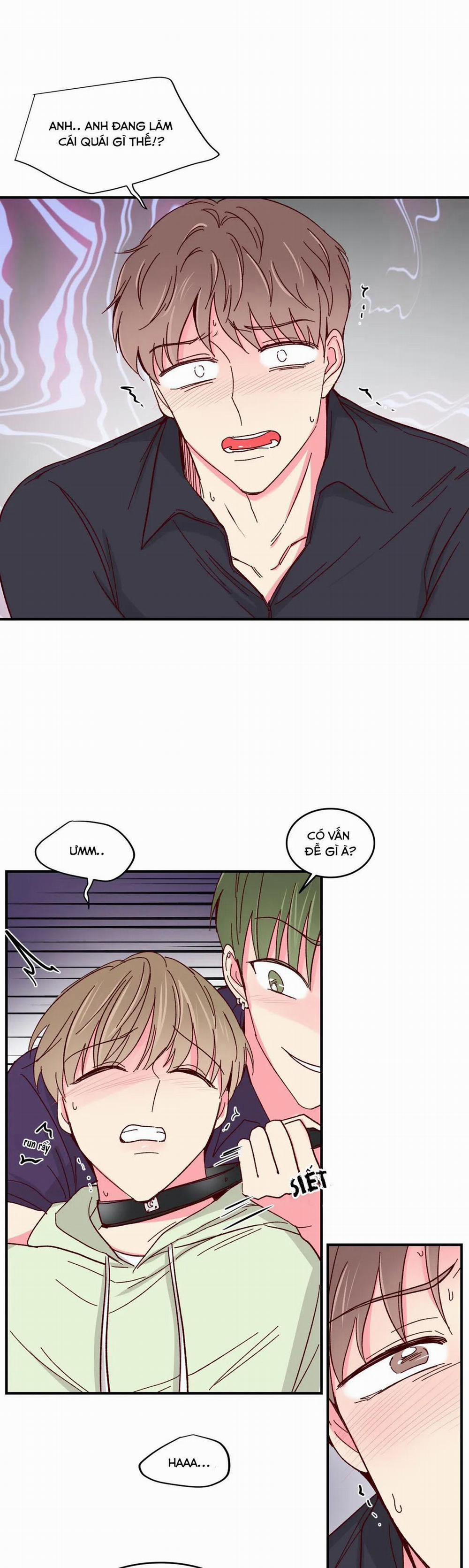 Món Tráng Miệng Của Sếp Tổng 56 trang 19