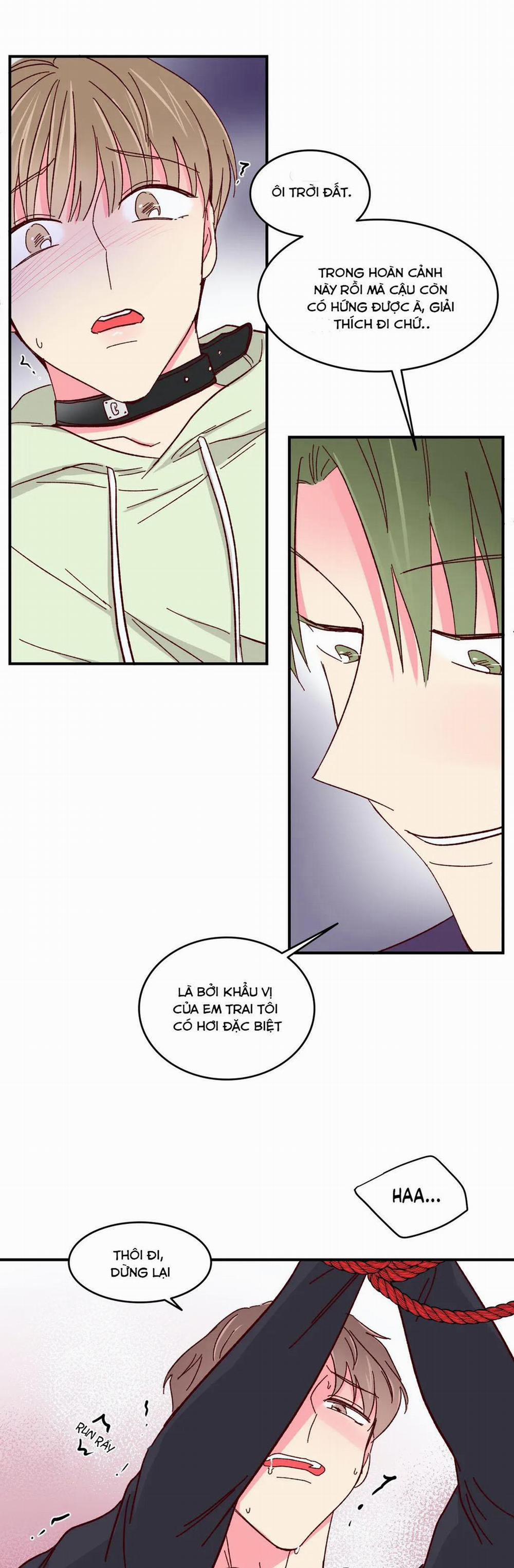 Món Tráng Miệng Của Sếp Tổng 56 trang 22