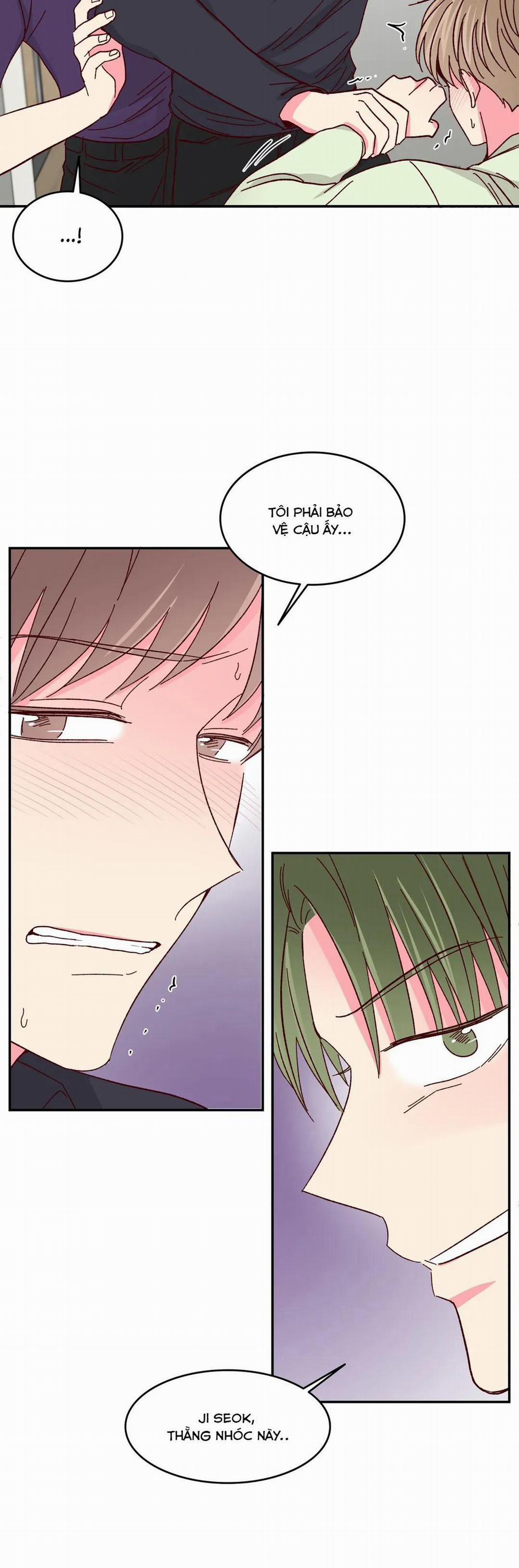 Món Tráng Miệng Của Sếp Tổng 56 trang 5