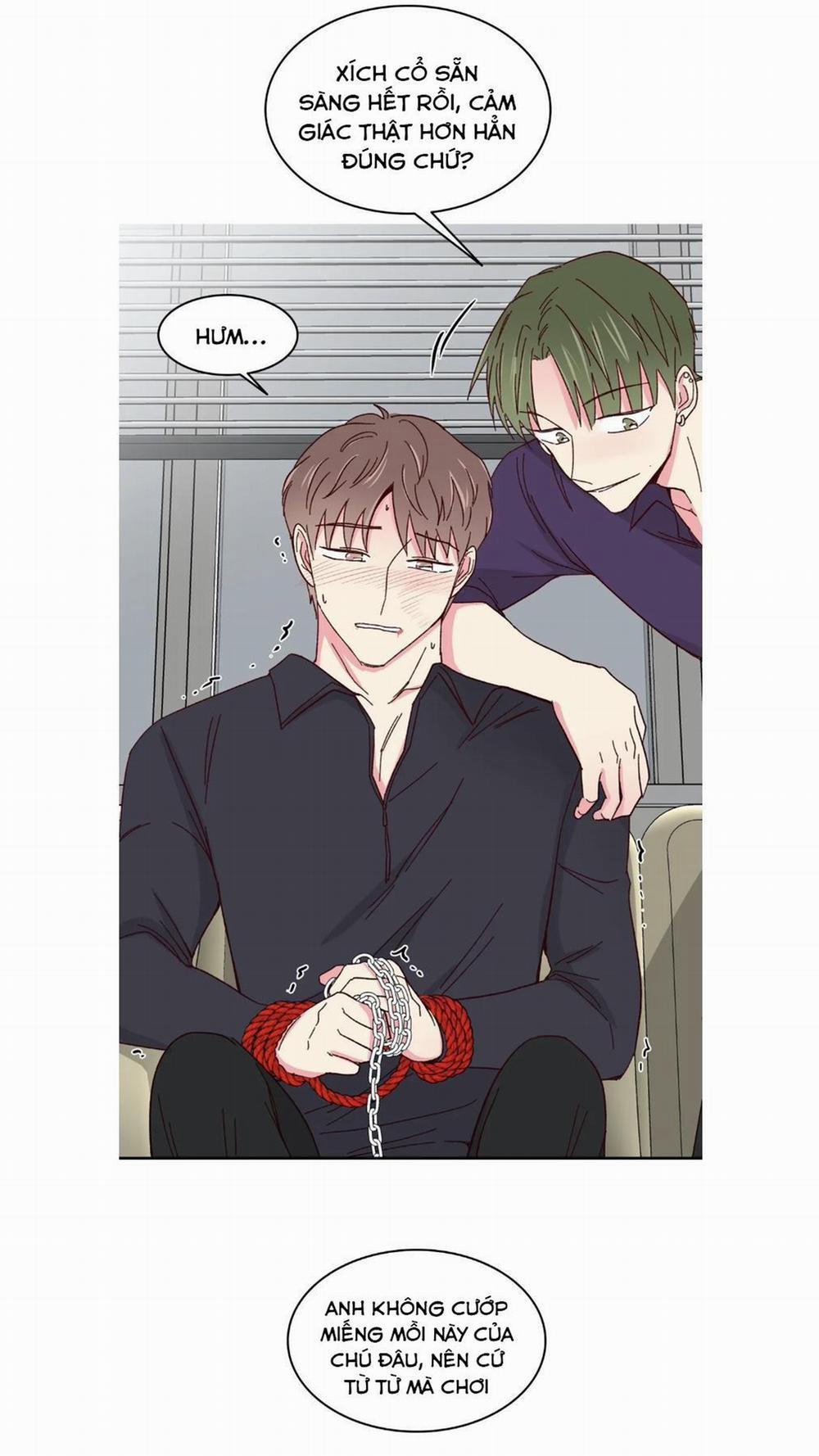 Món Tráng Miệng Của Sếp Tổng 57 trang 18