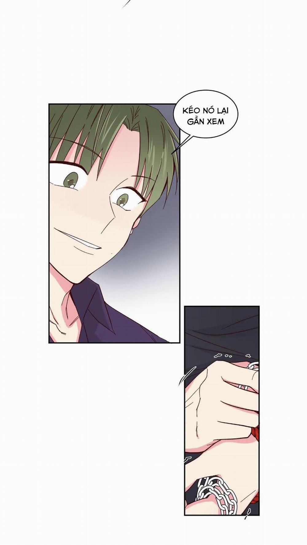 Món Tráng Miệng Của Sếp Tổng 57 trang 20