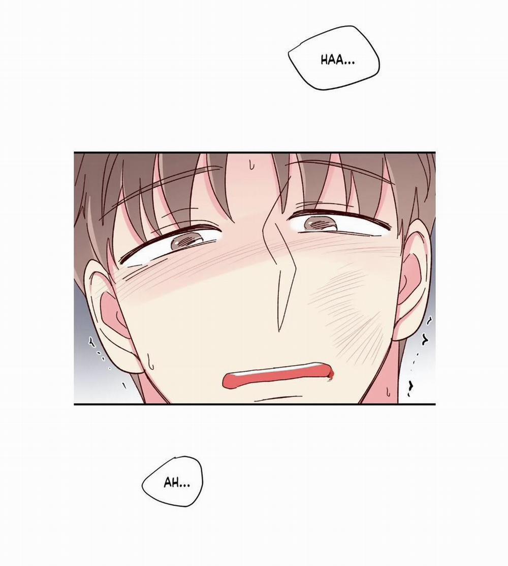 Món Tráng Miệng Của Sếp Tổng 57 trang 29