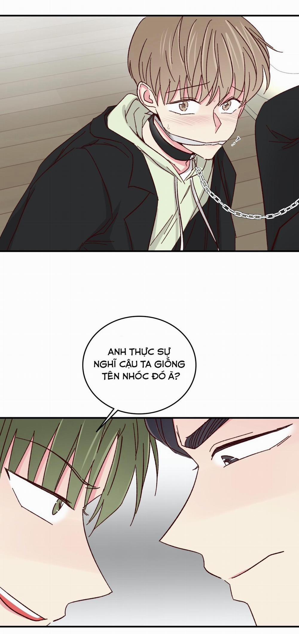 Món Tráng Miệng Của Sếp Tổng 58 trang 20