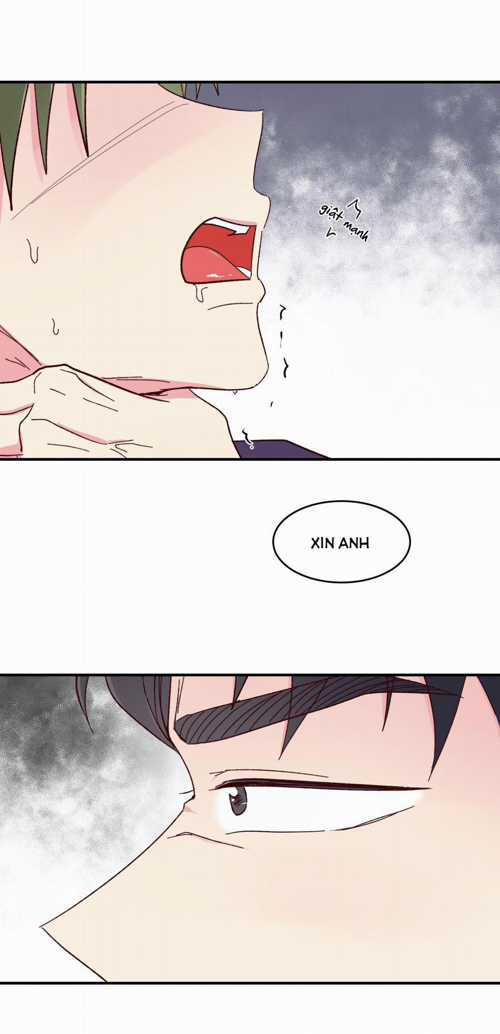 Món Tráng Miệng Của Sếp Tổng 58 trang 43