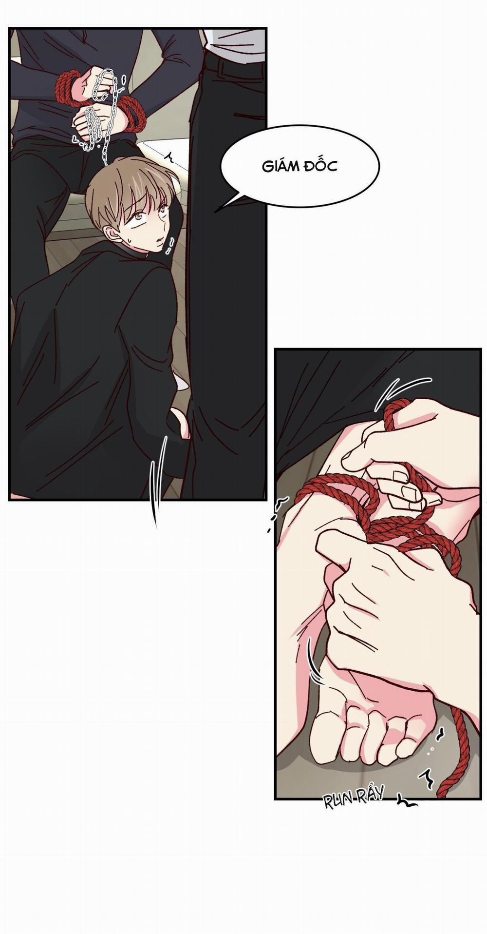 Món Tráng Miệng Của Sếp Tổng 58 trang 47