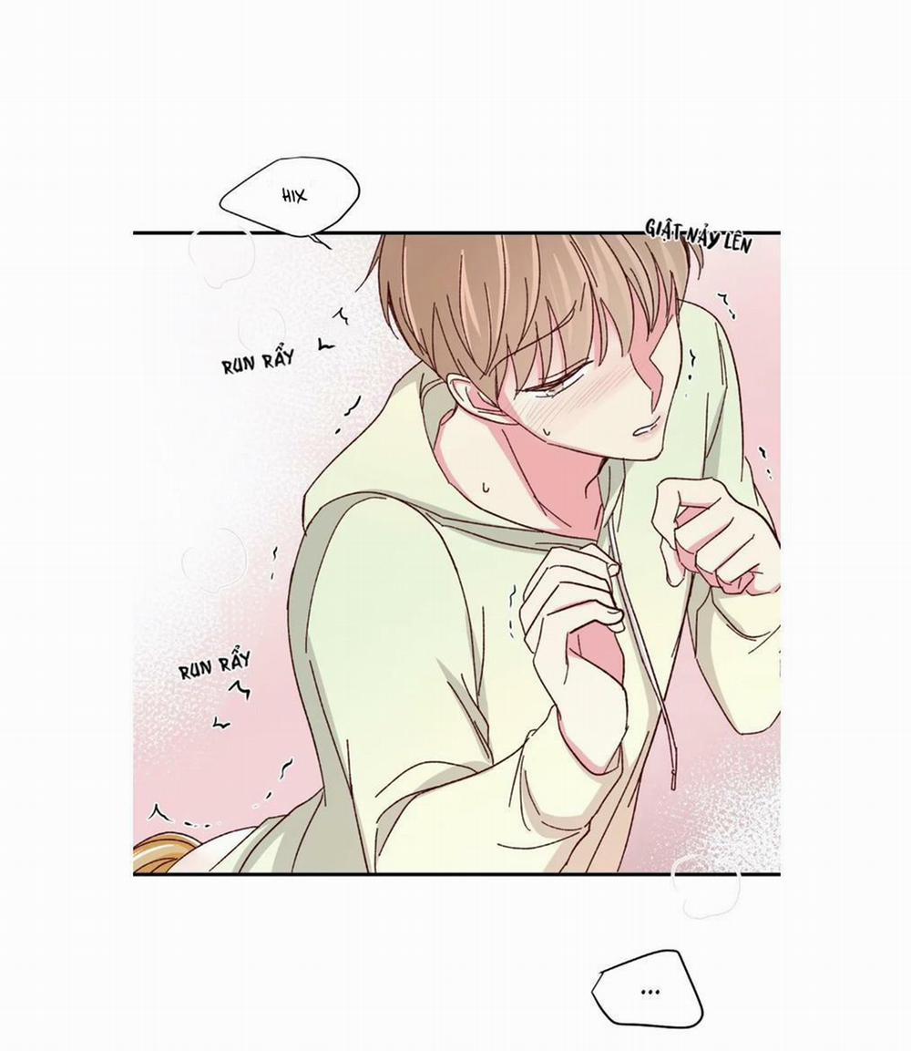 Món Tráng Miệng Của Sếp Tổng 59 trang 11