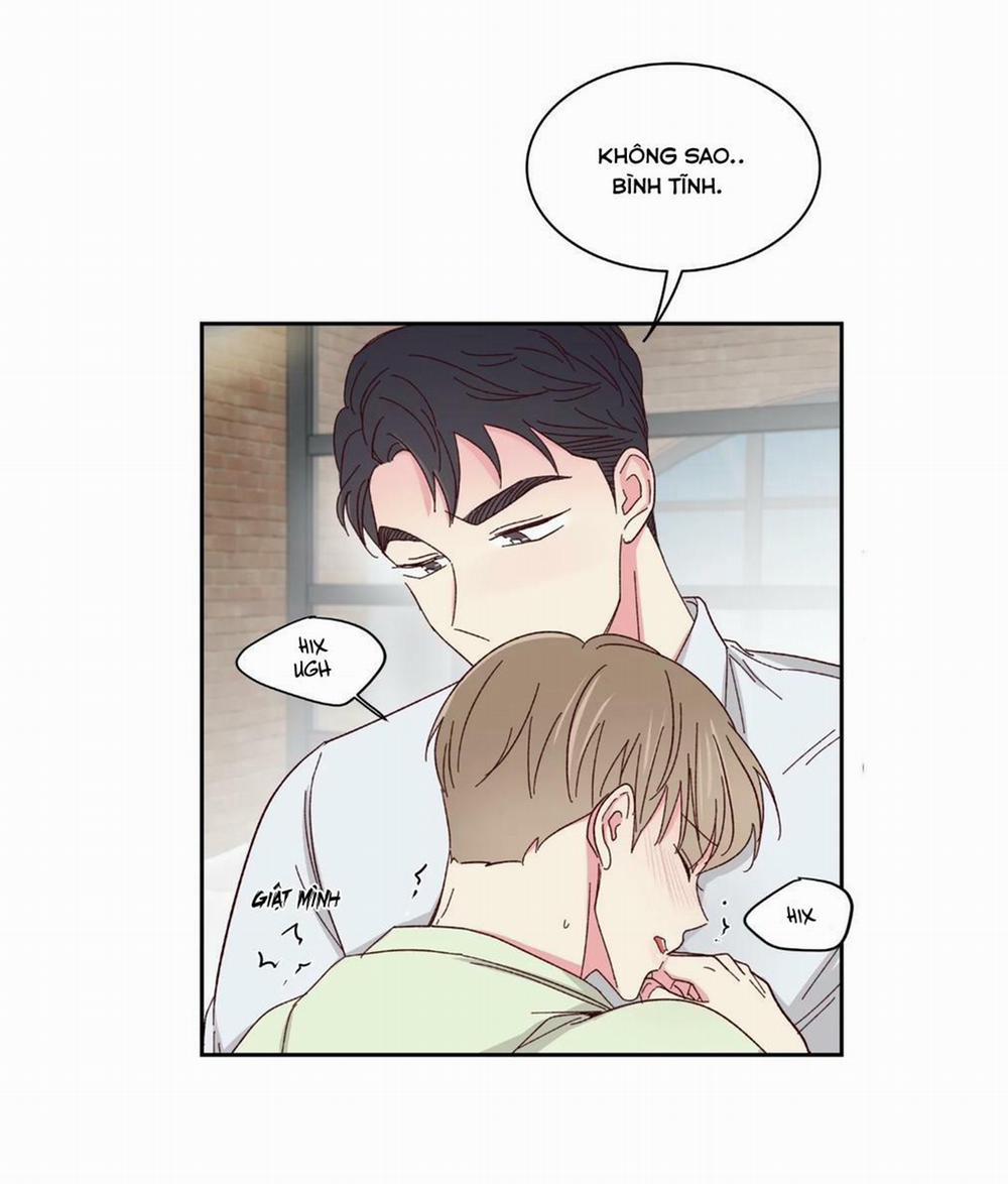 Món Tráng Miệng Của Sếp Tổng 59 trang 16