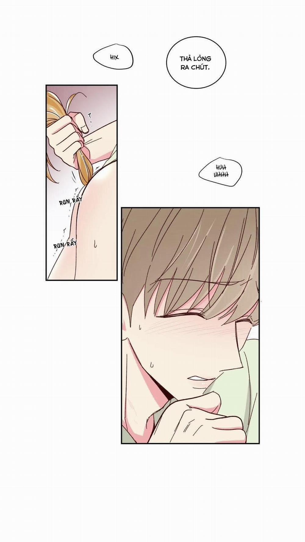 Món Tráng Miệng Của Sếp Tổng 59 trang 17