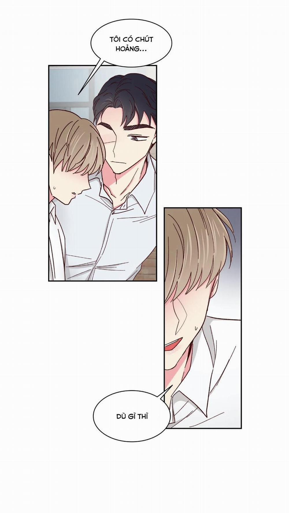 Món Tráng Miệng Của Sếp Tổng 59 trang 41