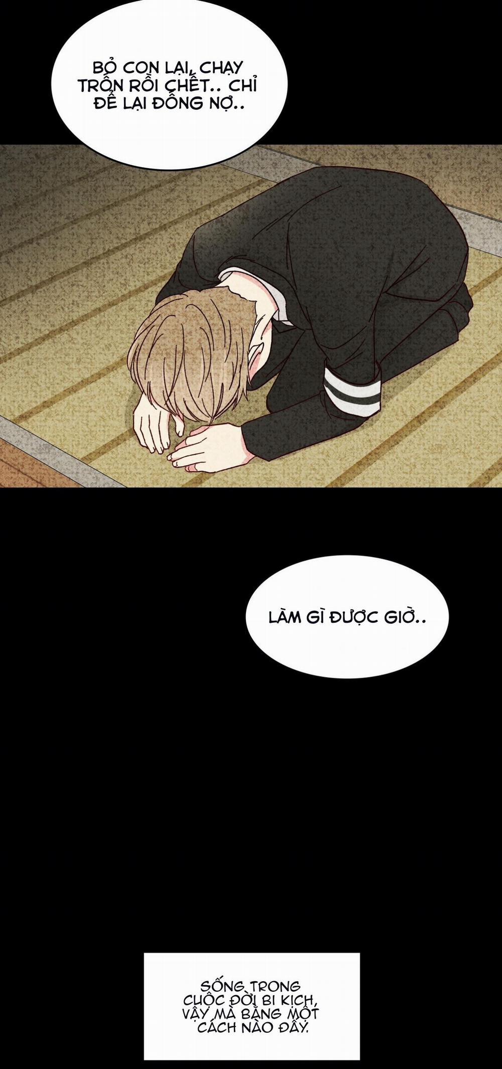 Món Tráng Miệng Của Sếp Tổng 60 trang 29