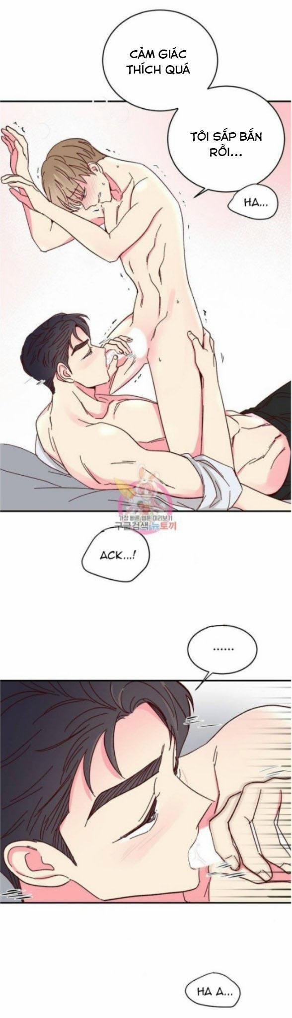 Món Tráng Miệng Của Sếp Tổng 61 trang 17