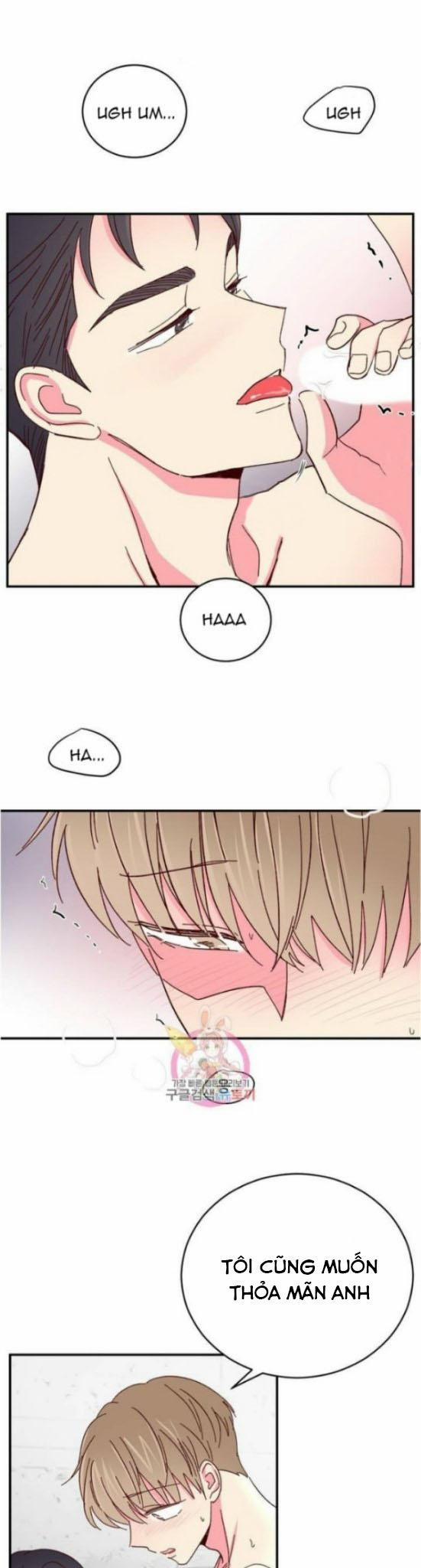 Món Tráng Miệng Của Sếp Tổng 61 trang 19