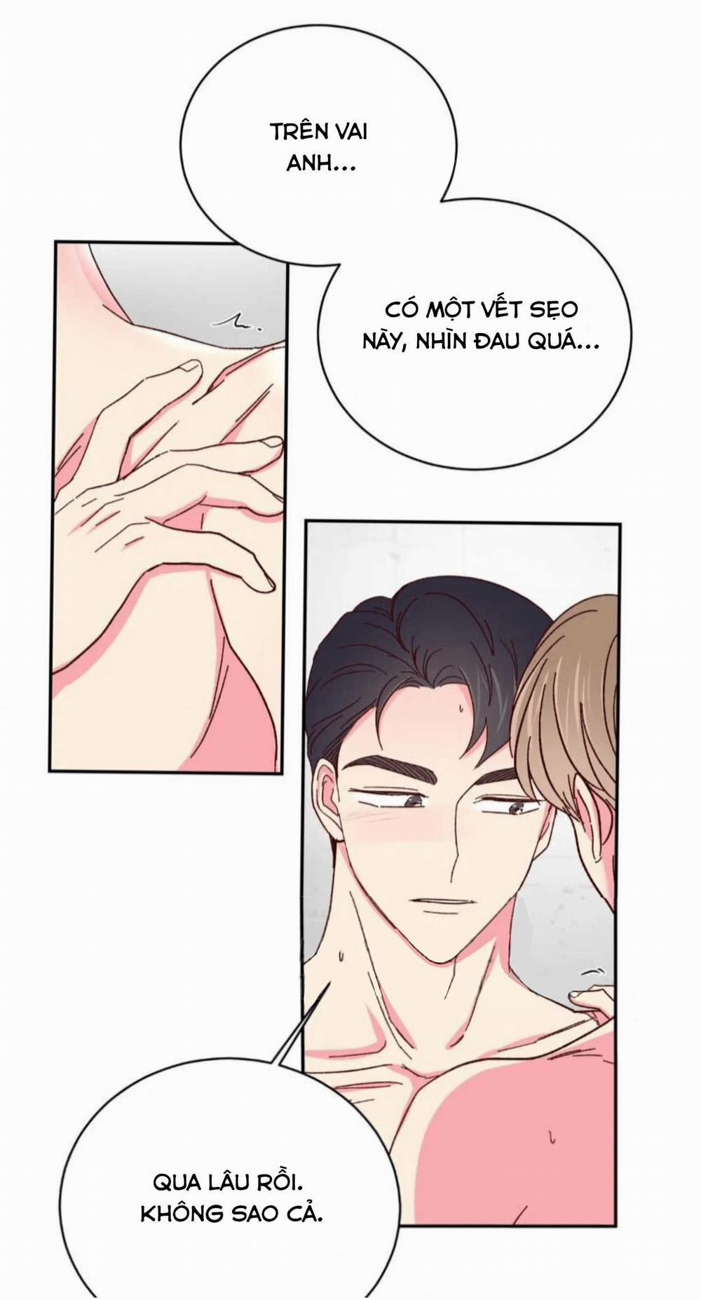 Món Tráng Miệng Của Sếp Tổng 63 trang 21