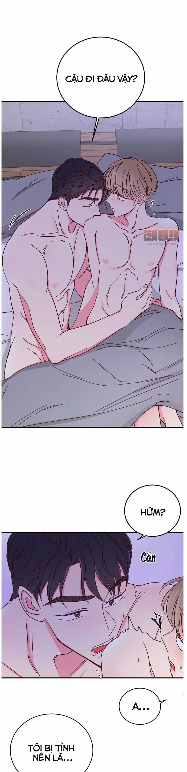 Món Tráng Miệng Của Sếp Tổng 65 trang 6