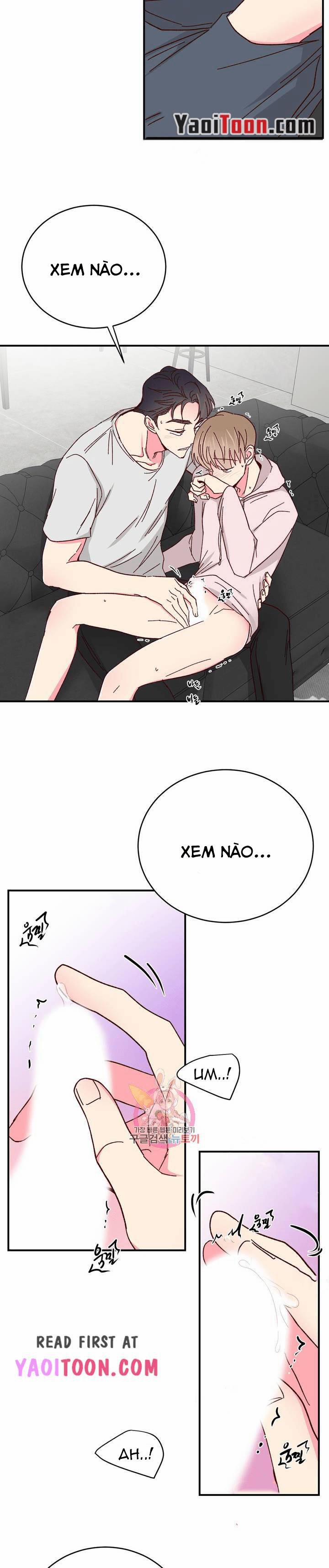 Món Tráng Miệng Của Sếp Tổng 68 trang 16