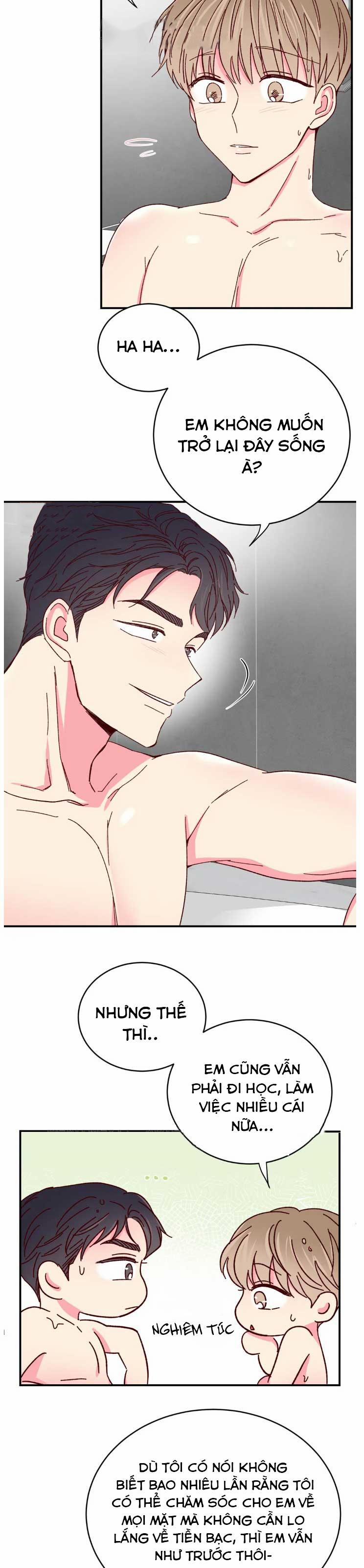 Món Tráng Miệng Của Sếp Tổng 70 trang 13