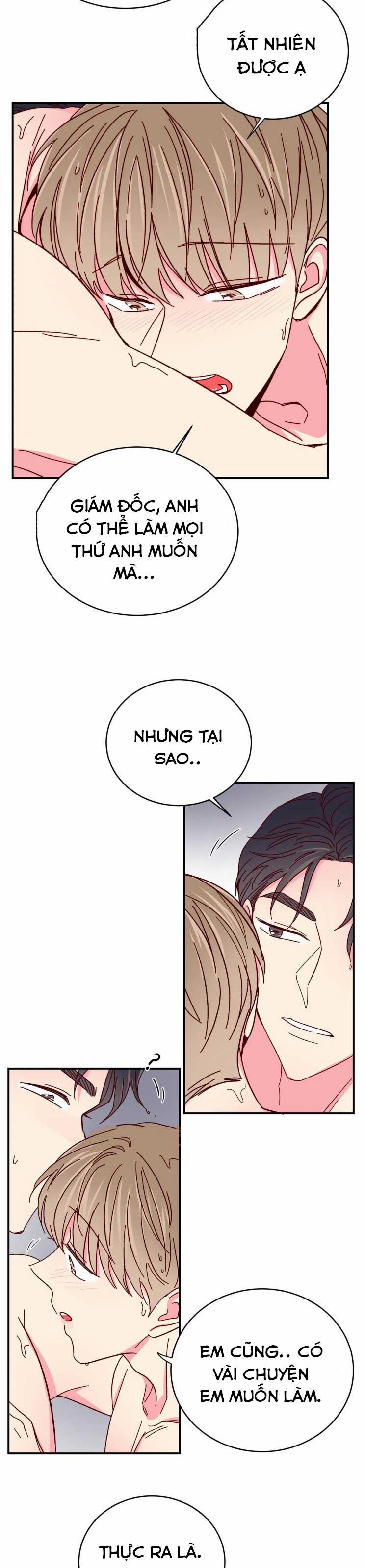 Món Tráng Miệng Của Sếp Tổng 70 trang 15