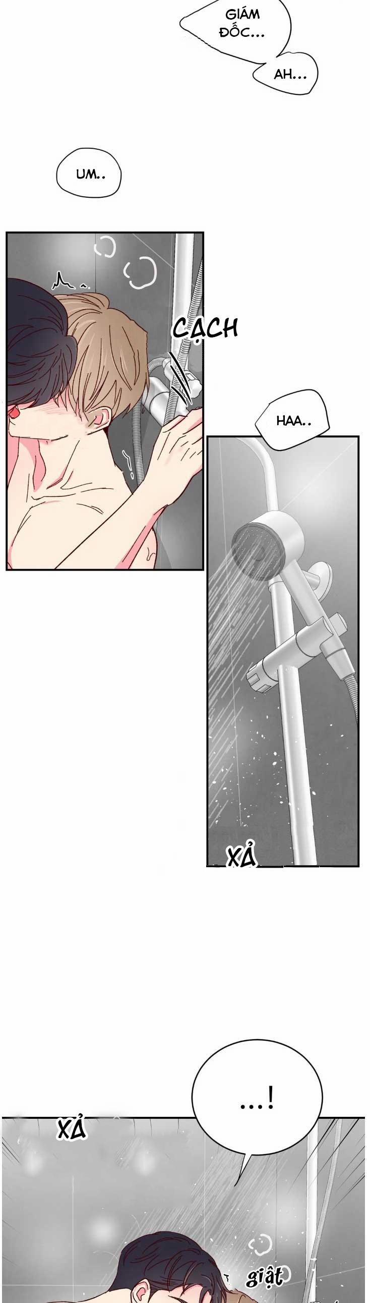 Món Tráng Miệng Của Sếp Tổng 70 trang 19