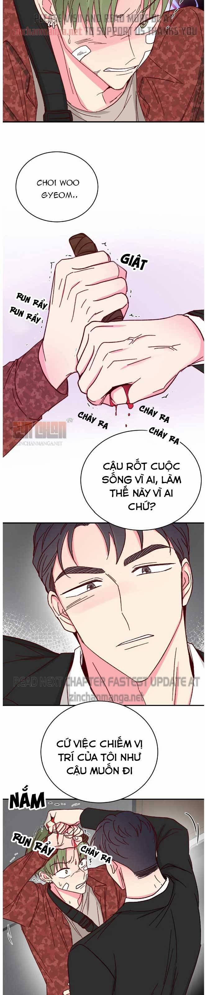 Món Tráng Miệng Của Sếp Tổng 72 trang 14