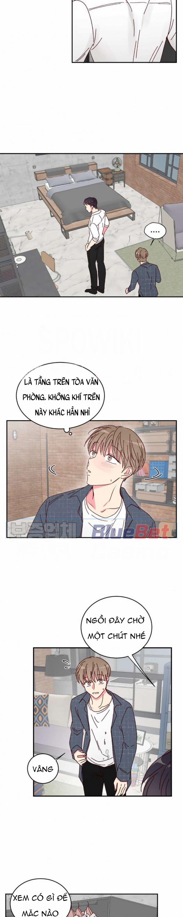 Món Tráng Miệng Của Sếp Tổng 8 trang 5