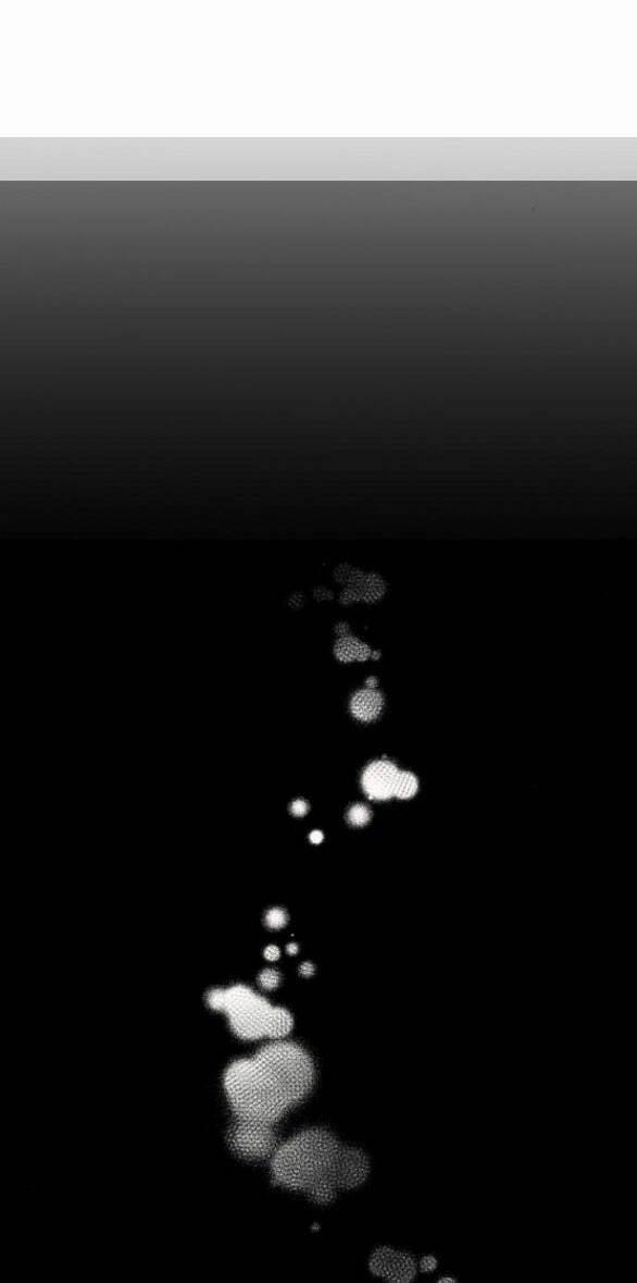 Mong Chờ Giây Phút Thiêng Liêng Được Chạm Tới Người 57.2 trang 55