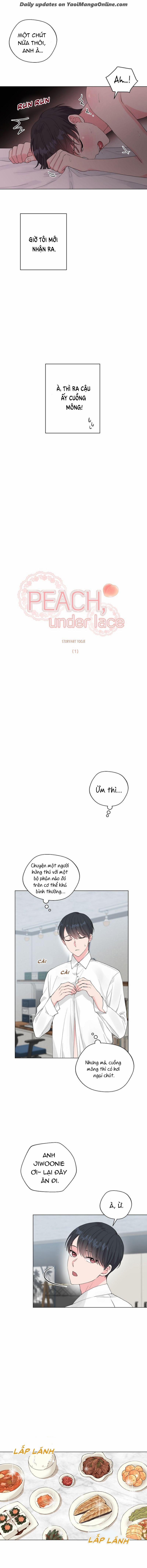 MÔNG ĐÀO DƯỚI LỚP REN 1 trang 3