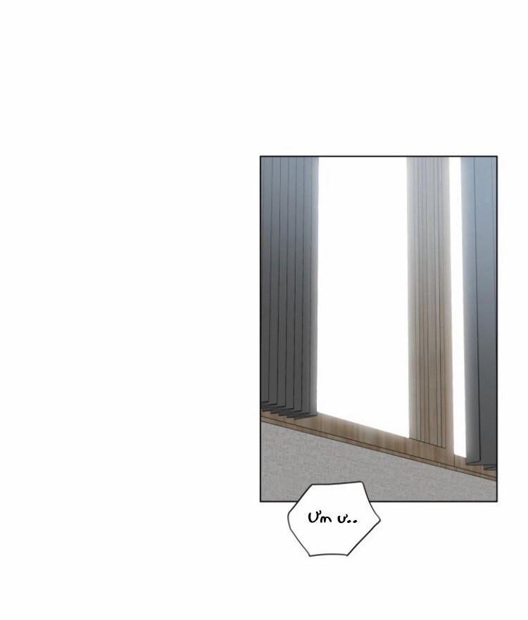 MÔNG ĐÀO DƯỚI LỚP REN 3 trang 8