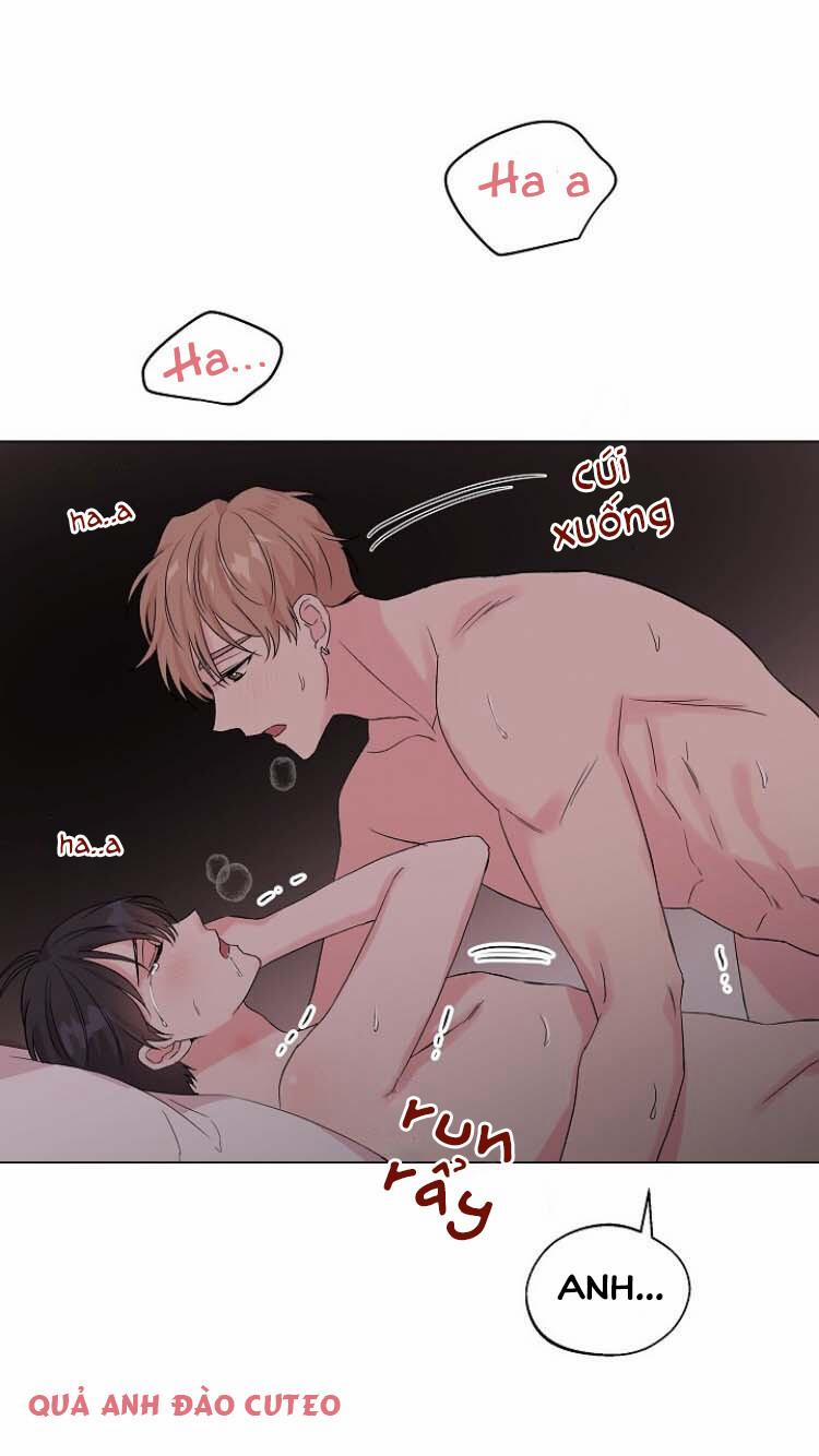 MÔNG ĐÀO DƯỚI LỚP REN 4 trang 49