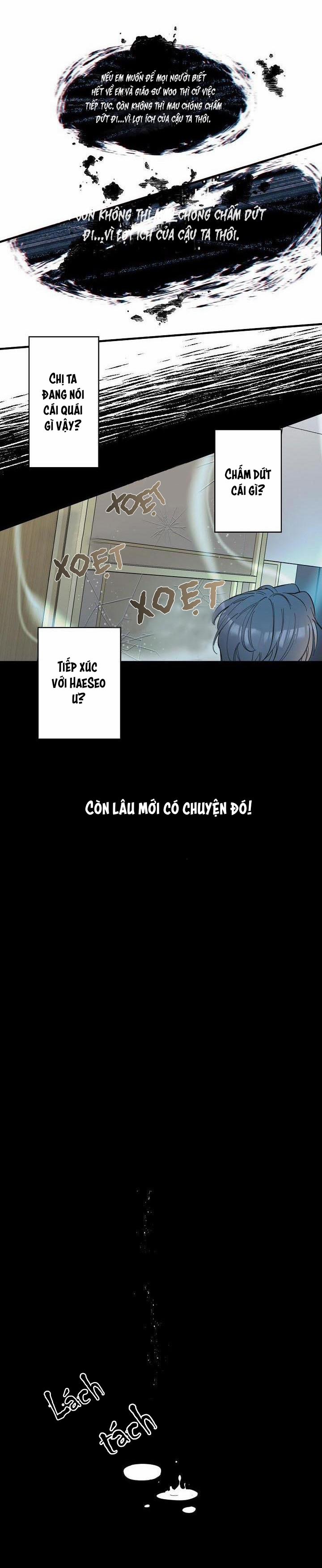 Mộng Tưởng 20 trang 17