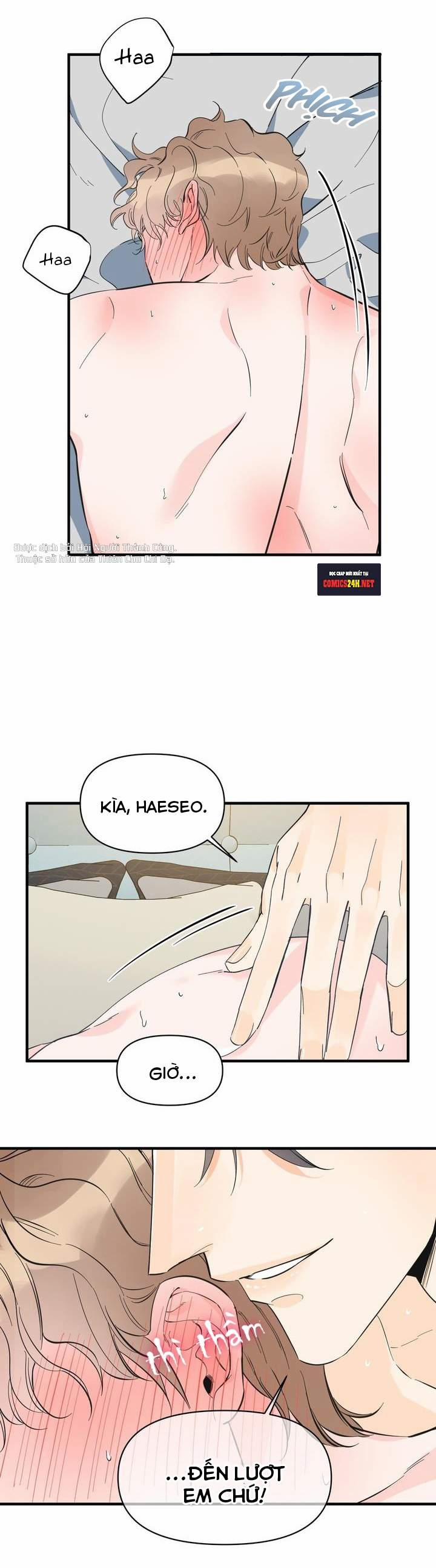 Mộng Tưởng 24 trang 10
