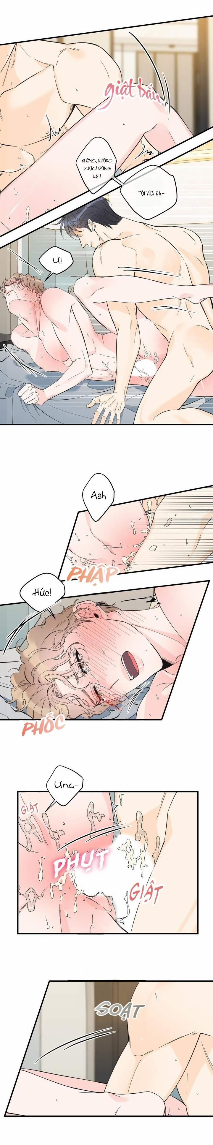 Mộng Tưởng 24 trang 11