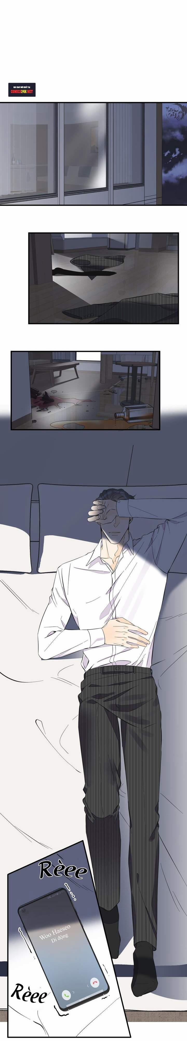 Mộng Tưởng 26 trang 15