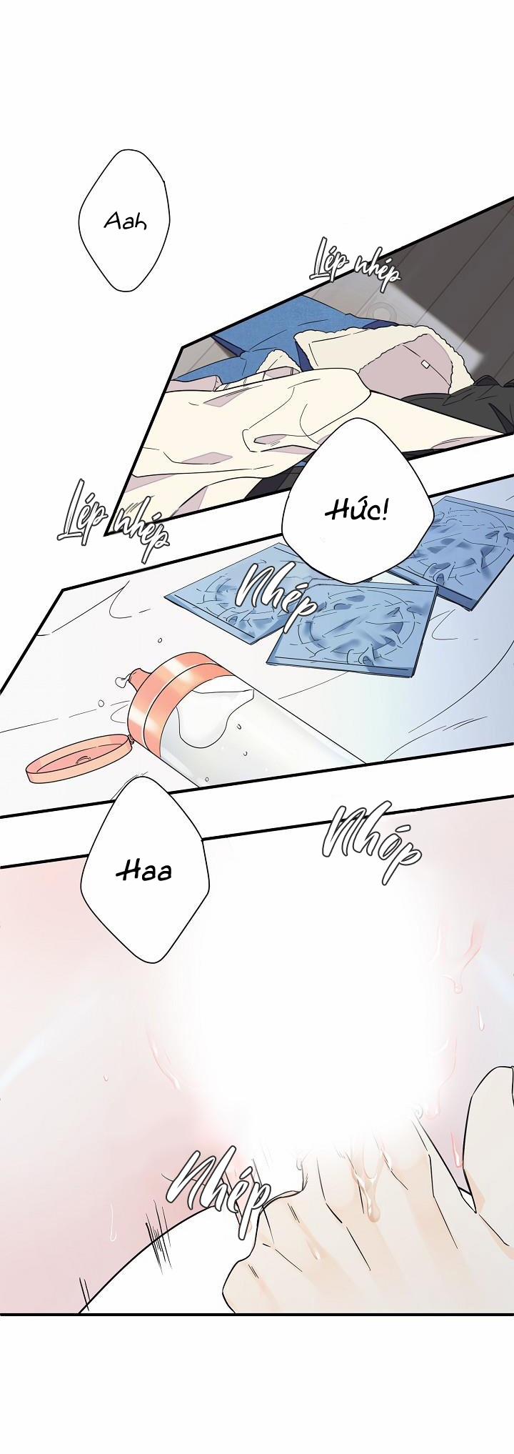 Mộng Tưởng 31 trang 11