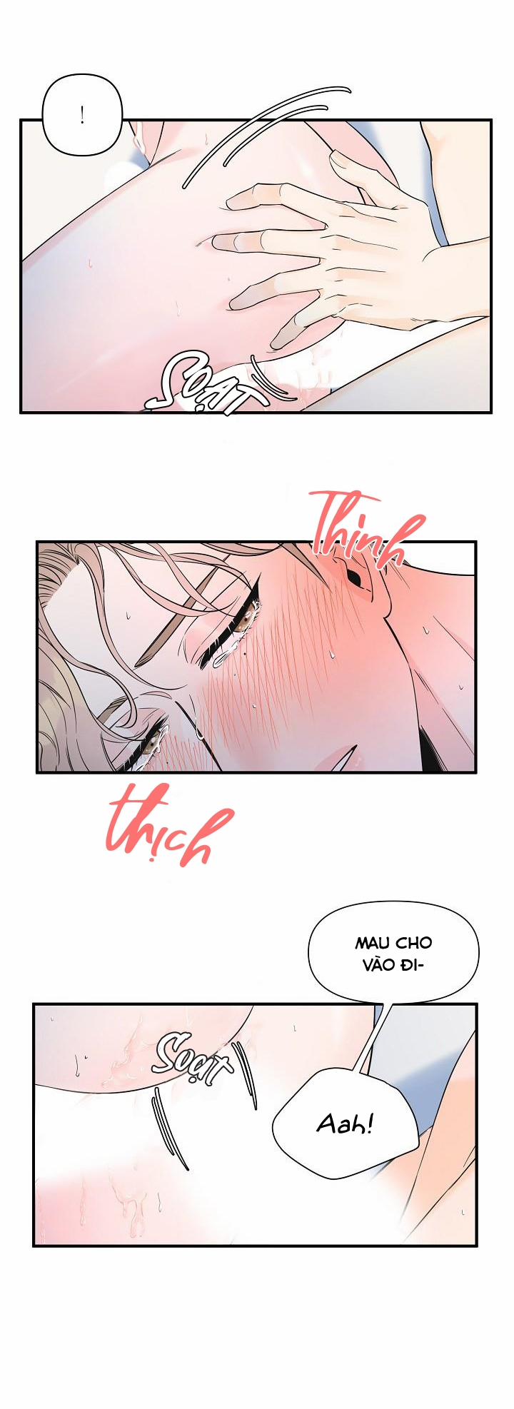 Mộng Tưởng 31 trang 17